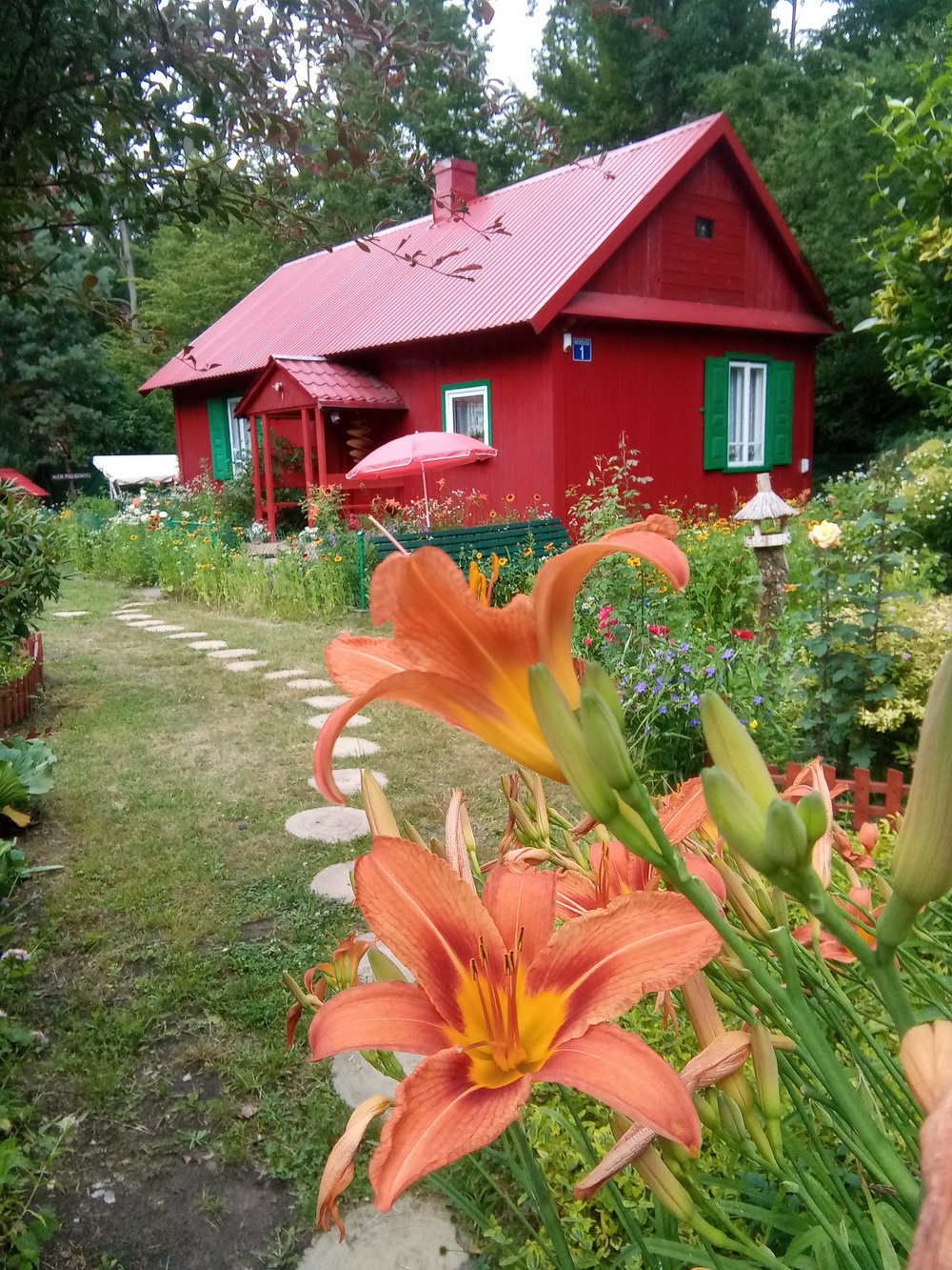dom na tle kwitnącej lilii